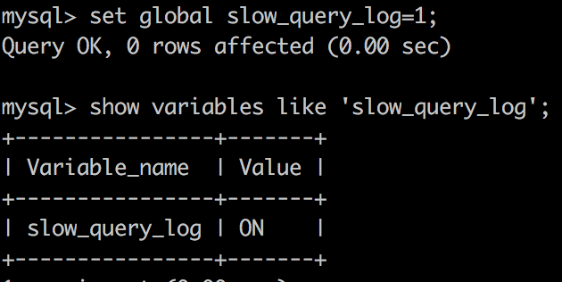 slow_query_on